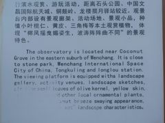 -东郊椰林