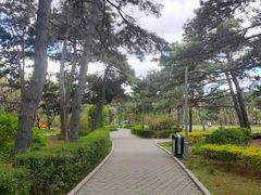 -长春市南湖公园