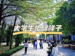 -顺德职业技术大学