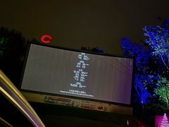 -枫花园汽车电影院(朝阳公园店)