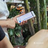佛山街坊榜首《有记》值得排队2小时吗？