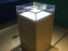 -上海昆虫博物馆