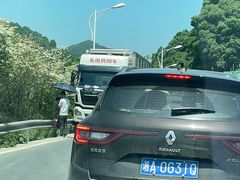-长沙黑麋峰国家森林公园