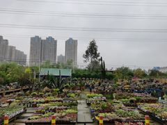 -三圣花乡旅游区