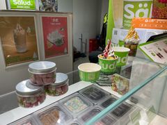 -Salud撒露欧洲冻酸奶(北苑上品店)