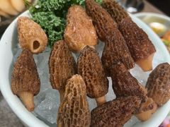 -蘑界·野生菌火锅(深业上城店)