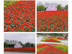 -海心沙亚运公园