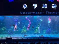 -泉城欧乐堡海洋极地世界