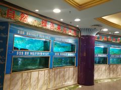 三文鱼刺身-金龙渔港(双楠店)