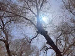 -敦煌莫高窟