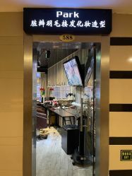 -Park Salon脏辫羽毛接发