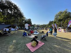 -南宁良凤江国家森林公园