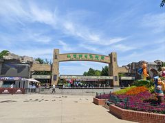 -北京野生动物园