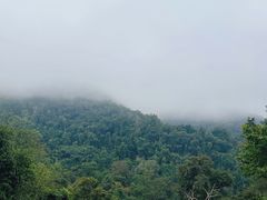 -野象谷景区