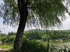 -云龙湖旅游景区