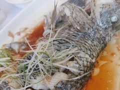-骏莱海鲜鱼港(五角场店)