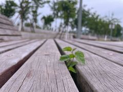 -南京市无想山景区