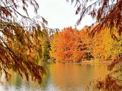 -上海海湾国家森林公园