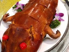 乳豬全體-港澳德兴火锅海鲜酒家(殷皇子店)