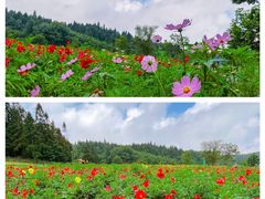 -武陵山森林公园