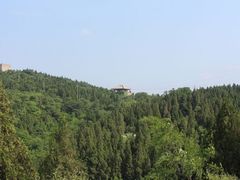 -原山国家森林公园