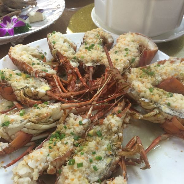 千舟渔湛江渔港(窖口海宝湾店)