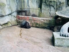 -贵州森林野生动物园