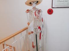 -杏林康桥中医正骨·体态矫正·跌打损伤·推拿按摩(国贸建外SOHO店)