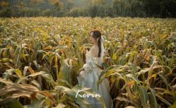 点击看大图 -韩国天使嫁衣婚纱礼服馆(上海旗舰店)