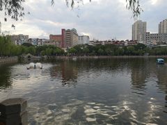 -文瀛公园