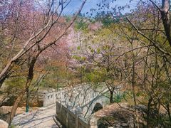 -崂山巨峰游览区