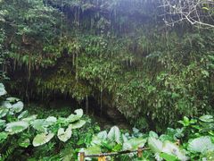 -海口火山口国家地质公园