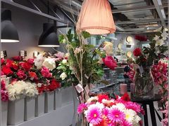 -宜家家居(哈尔滨商场店)