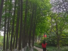 -暨阳湖生态园