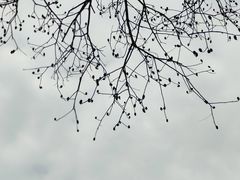 -苏州环秀晓筑养生度假村