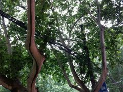 -同胜祥清真新豫菜(杜岭街店)