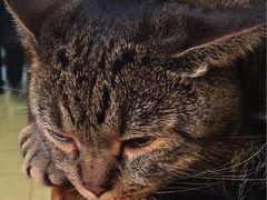 -云端咖啡私房店(河松街店)