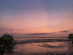 -宝安西湾红树林湿地公园