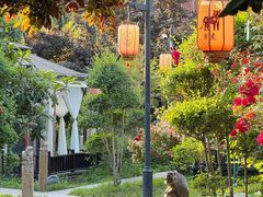 -后海彼岸花园餐厅