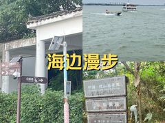 -巢湖姥山岛