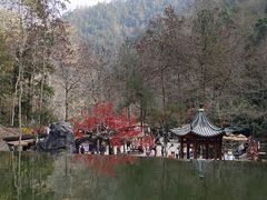 -刘伯温故里景区百丈漈