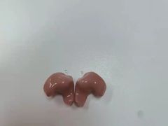 -安湃声助听器(密云店)