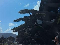 -东钱湖旅游度假区