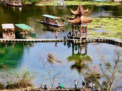 -靖西鹅泉风景区