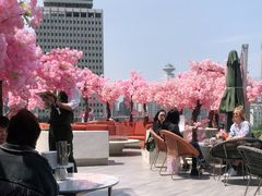 -城市露台景观餐厅(淮海路店)