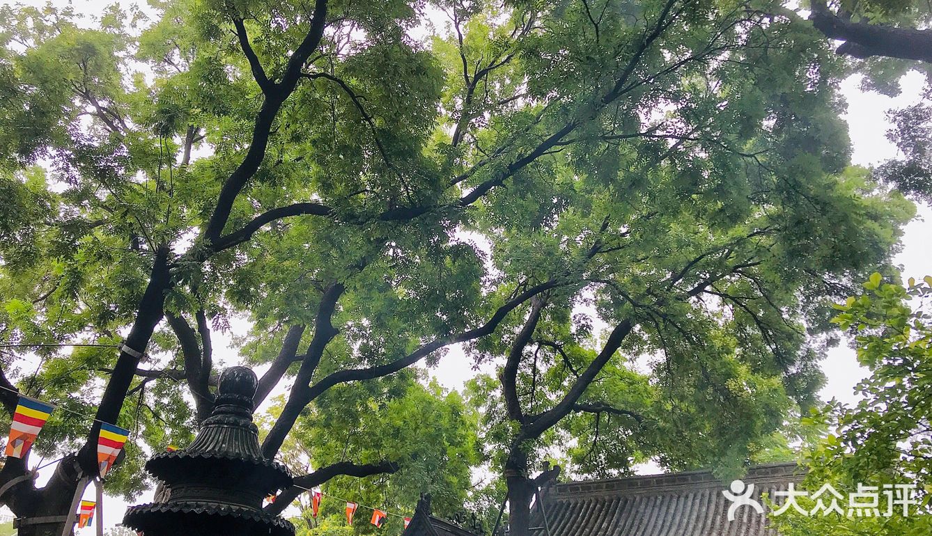 雨后～如新