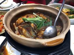 -熠盛粤味·顺德桑拿鸡(永康路店)
