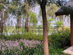-东郊湿地公园