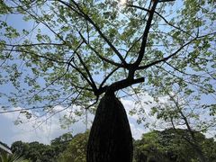 -华南国家植物园-售票处