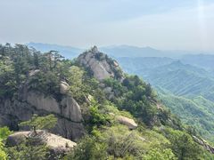 -六里坪国家森林公园
